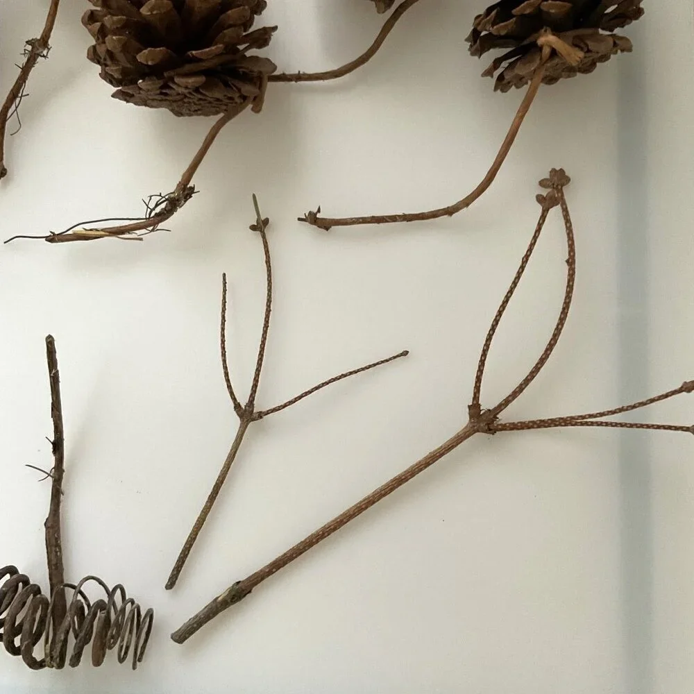 DIY PINE CONES AND CURLY TWIGS 15 COUNT